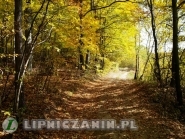 Lipnica Murowana – w objęciach Wiśnicko-Lipnickiego Parku Krajobrazowego (1)